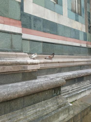 IMG 20230425 131611 HDR