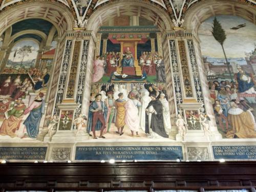 IMG 20240521 113154 HDR