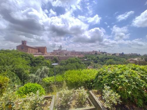 IMG 20240521 125935 HDR