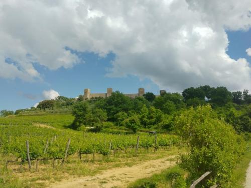 IMG 20240523 160625 HDR